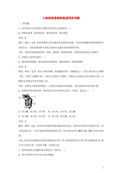七年级生物下册 第十一章第一节人体泌尿系统的组成同步训练 苏教版