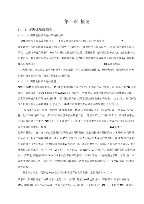 聚丙烯酰胺工艺设计