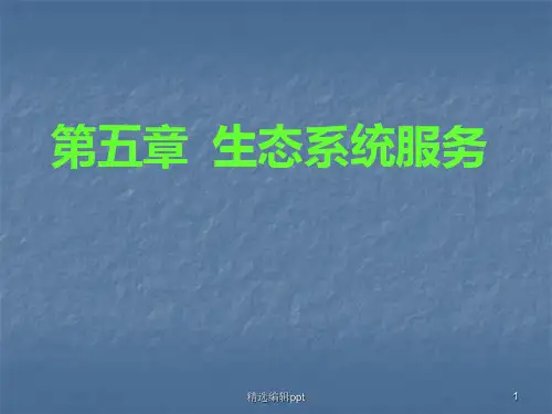 生态系统服务ppt课件