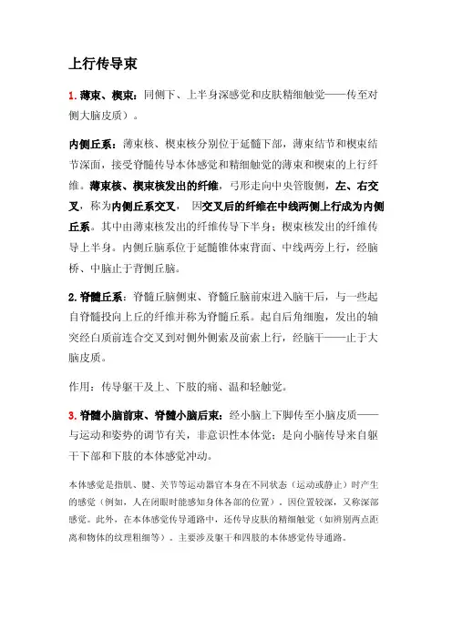 神经传导束解释