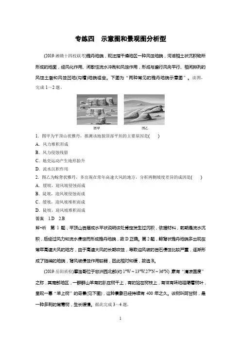 2020高考地理全国版大二轮练习：高考选择题专练四 示意图和景观图分析型