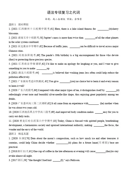 语法知识专题 代词