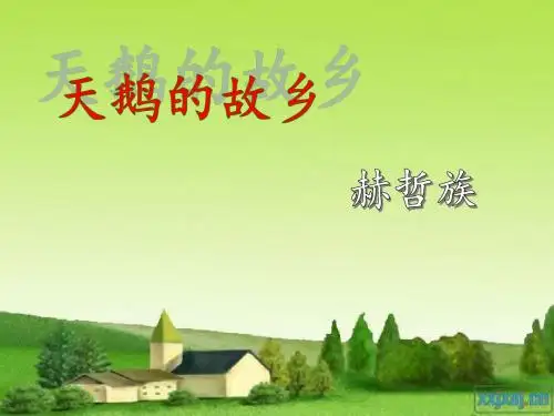 赫哲族简介-PPT分析