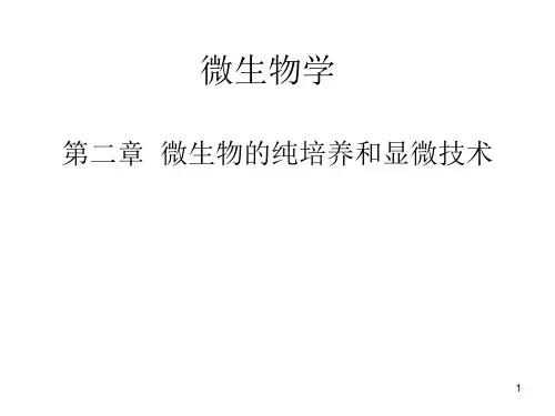 第二章微生物的纯培养和显微技术