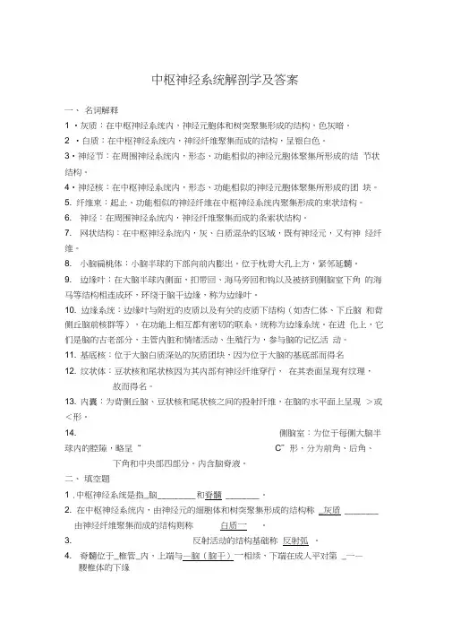 中枢神经系统解剖学及答案