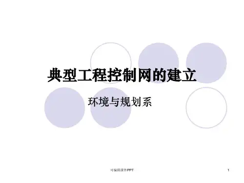 典型工程控制网的布设ppt课件