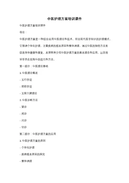 中医护理方案培训课件