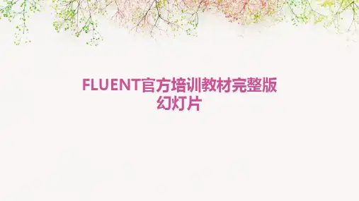 FLUENT官方培训教材完整版幻灯片