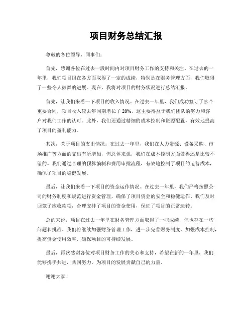 项目财务总结汇报
