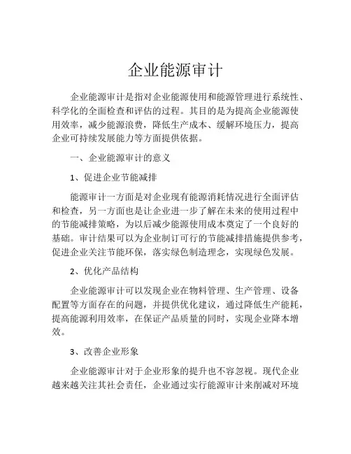 企业能源审计