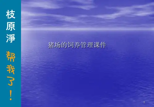 猪场的饲养管理PPT讲稿