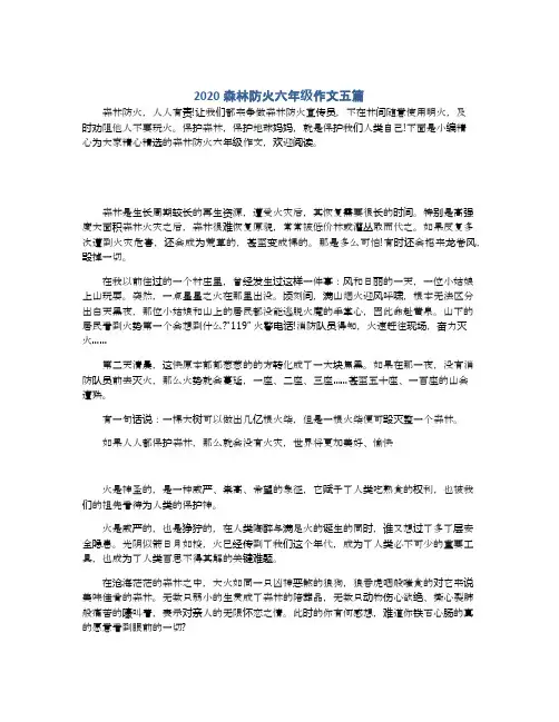 2020森林防火六年级作文五篇