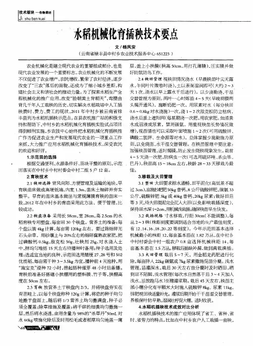 水稻机械化育插秧技术要点
