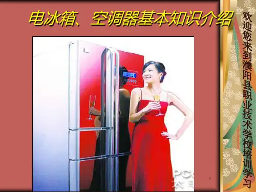电冰箱的使用与保养PPT课件