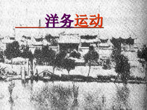 甲午中日战争前后的政治经济概况和文化(课堂PPT)