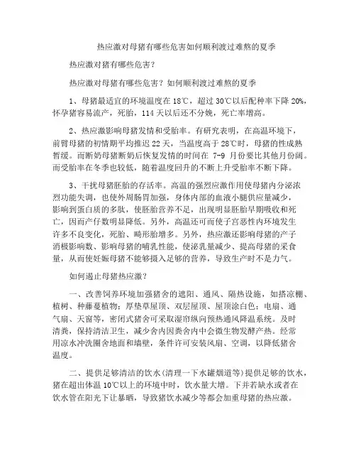 热应激对母猪有哪些危害如何顺利渡过难熬的夏季