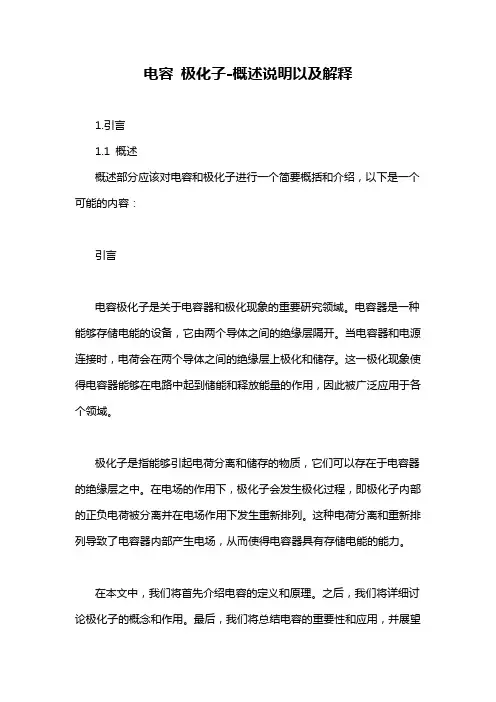 电容 极化子-概述说明以及解释