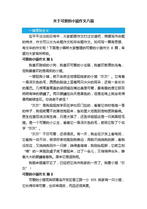 关于可爱的小猫作文八篇