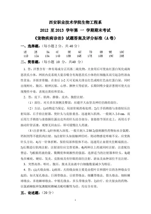 宠物诊治--A-答案