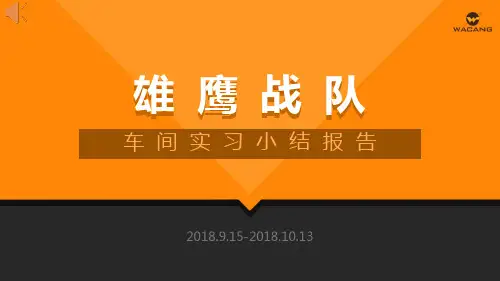雏鹰计划第三次小组总结ppt