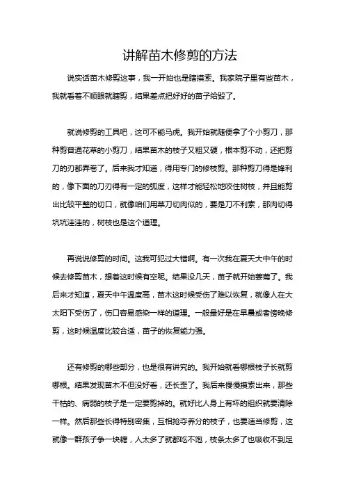 讲解苗木修剪的方法