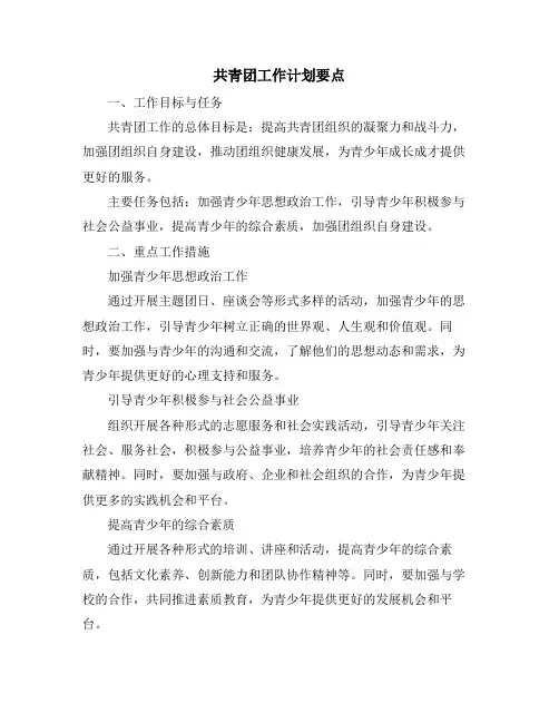 共青团工作计划要点