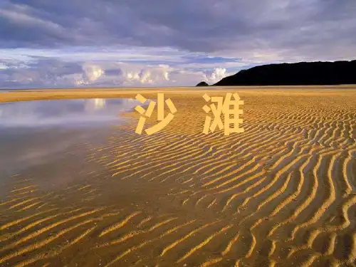 部编版二年级下册语文10《沙滩上的童话》课件ppt