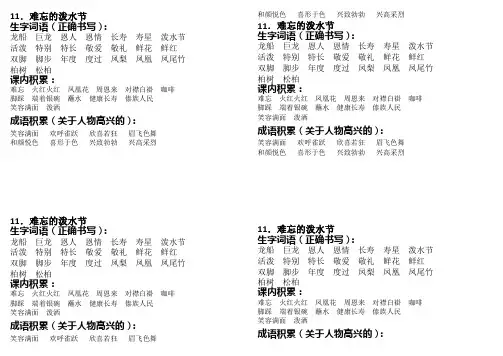 11.难忘的泼水节(书本贴业)