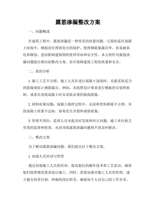 露筋渗漏整改方案