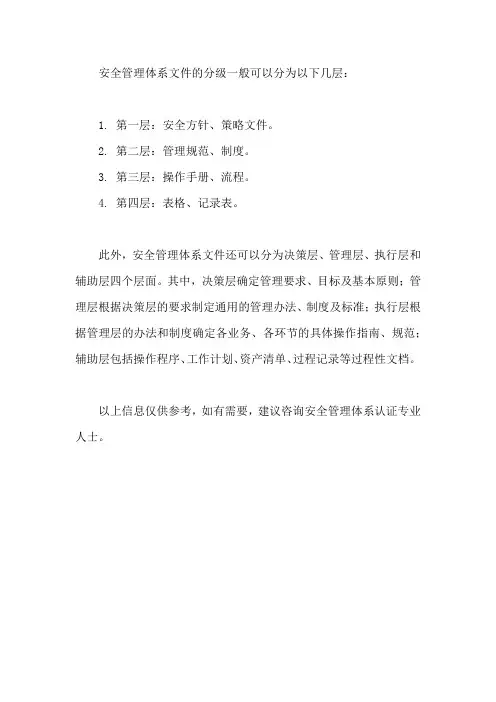 安全管理体系文件 分级