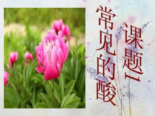 常见的酸