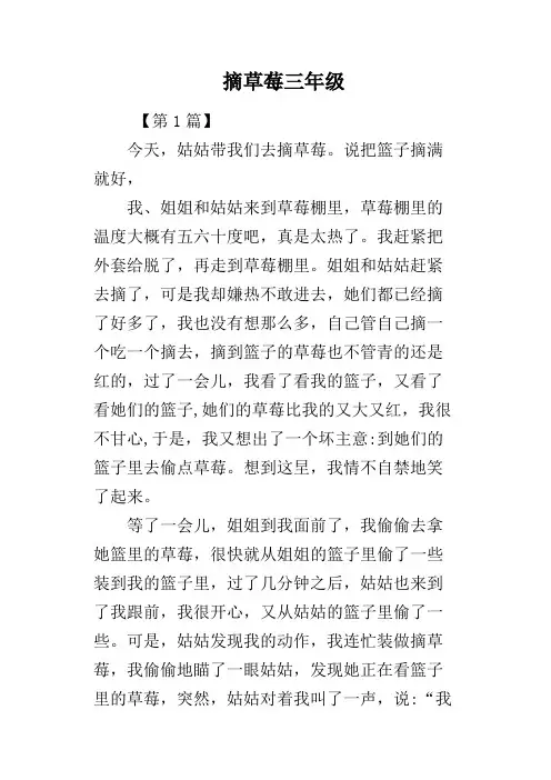 摘草莓三年级