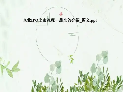 企业IPO上市流程---最全的介绍_图文