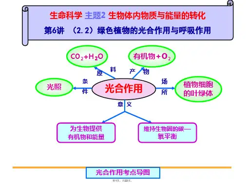 2016中考复习.植物的光合作用与呼吸作用