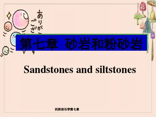 沉积岩石学第七章