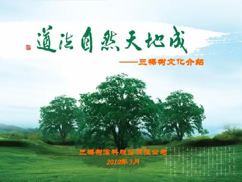 三棵树文化第五章(品牌营销)