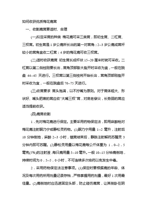 如何收获优质梅花鹿茸