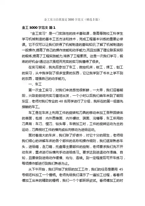 金工实习自我鉴定3000字范文（精选5篇）