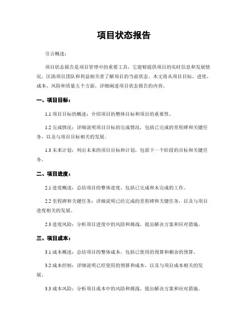 项目状态报告