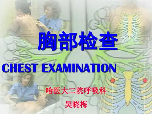 诊断学9.2胸部检查