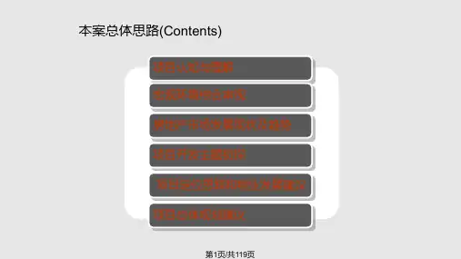 新景祥—吉林长春宽城区大型项目前期发展定位报告PPT课件
