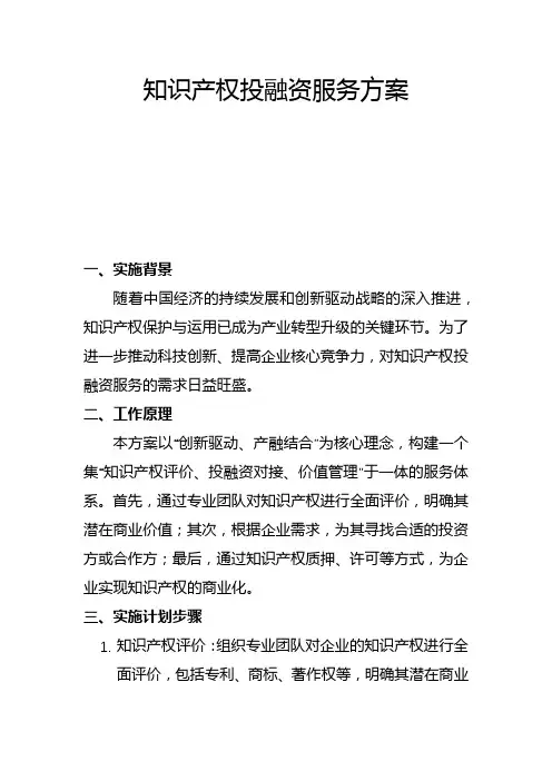 知识产权投融资服务方案(一)