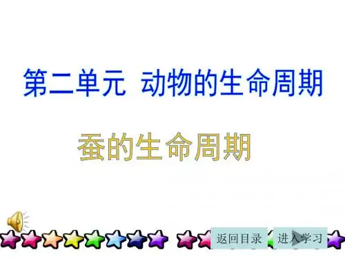蚕的生命周期