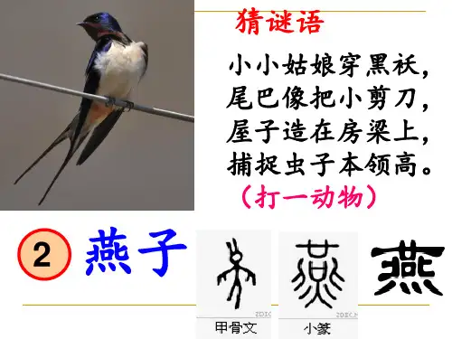 人教部编版《燕子》ppt1