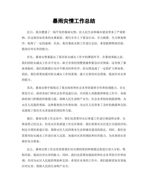 暴雨灾情工作总结