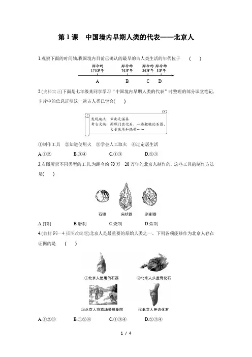 部编版七年级历史上册 第1课中国境内早期人类的代 表——北京人  同步练习(含答案)