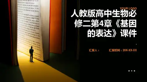 人教版教学课件高中生物人教版必修二第4章：《基因的表达》