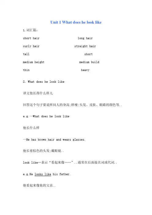 鲁教五四制初二英语知识点