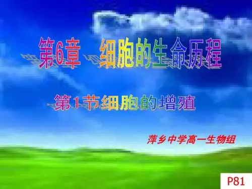 第一节 细胞的增殖