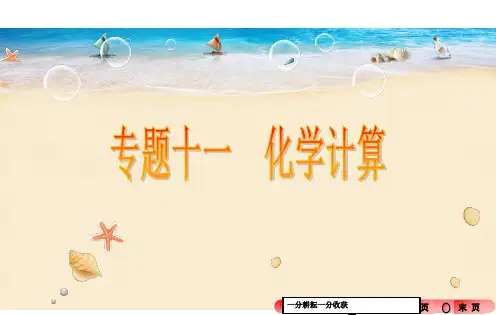 2016年中考化学专题备考(11)化学计算ppt课件AqwPlq